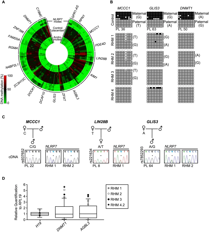 Methylation and expression analyses of placenta-specific DMRs in RHM samples.