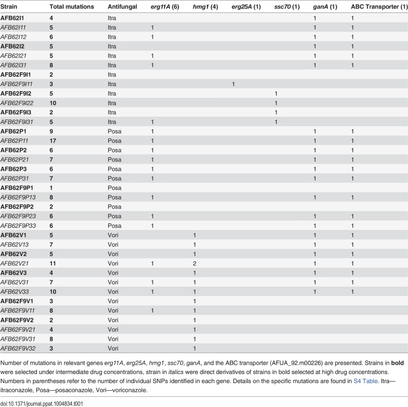 Total number of SNP of sequenced AFB62 or AFB62F9 intermediate (bold) and high level resistant isolates in itraconazole, posaconazole, or voriconazole after in vitro selection.