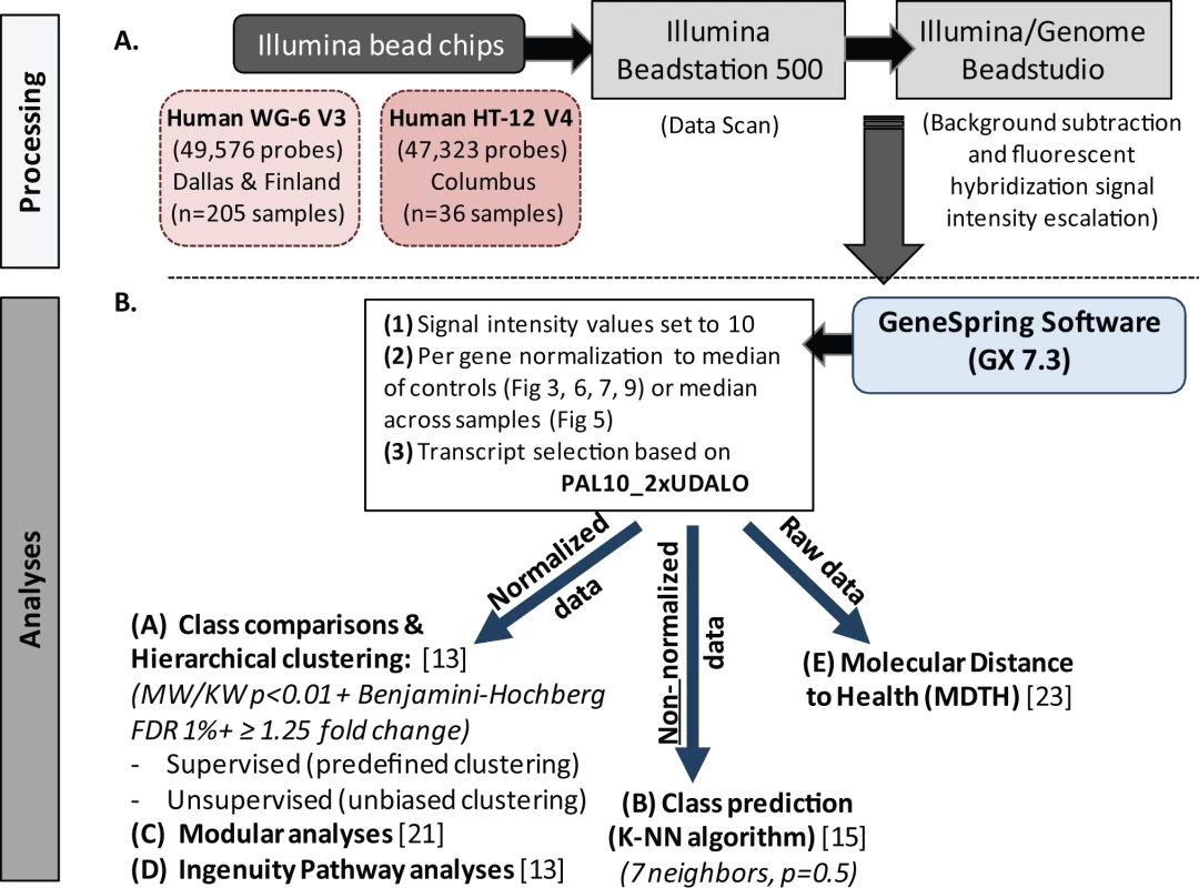 Microarray processing and statistical analyses.