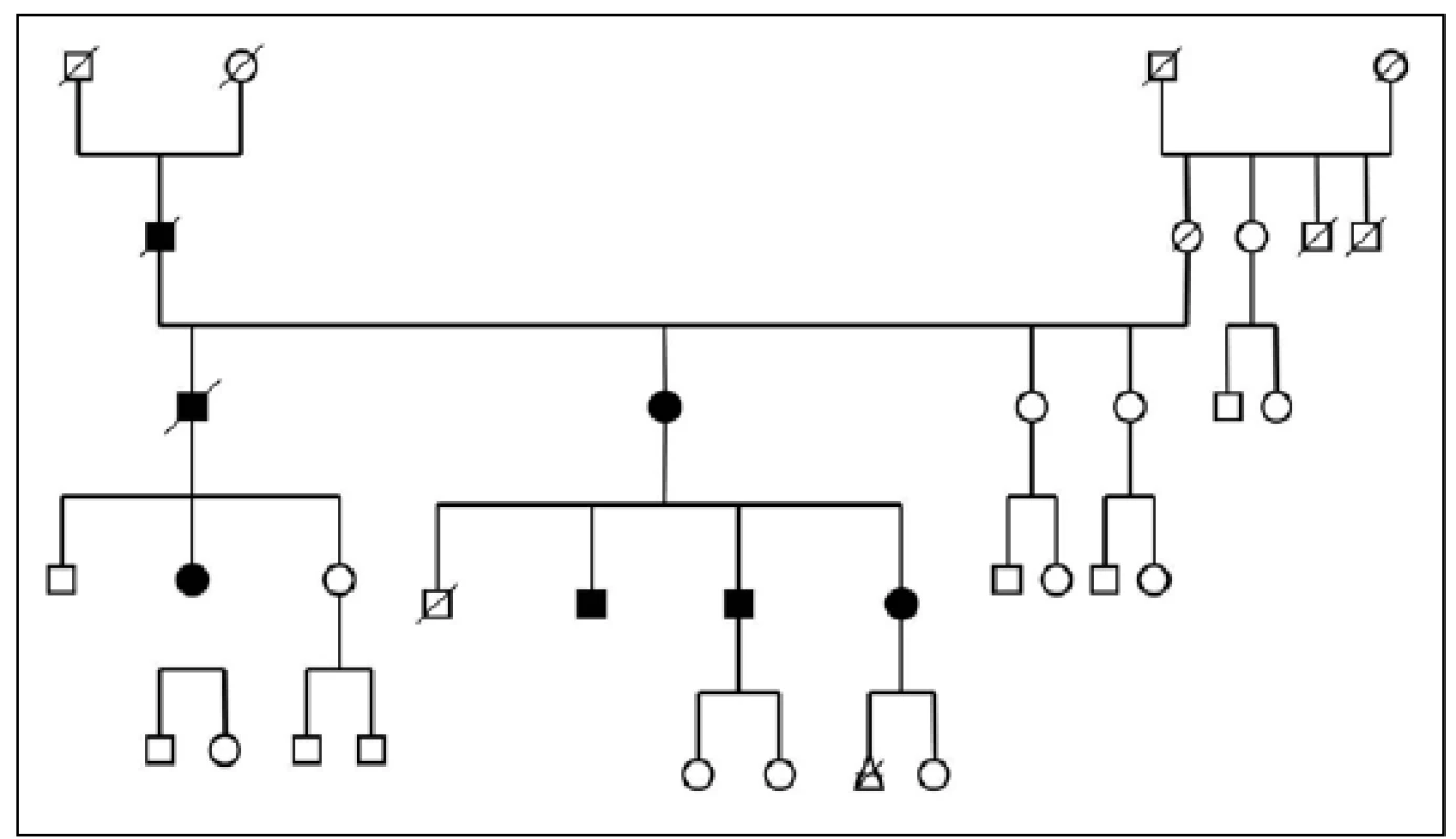Pedigree Nr. 2 – HorPark 2.