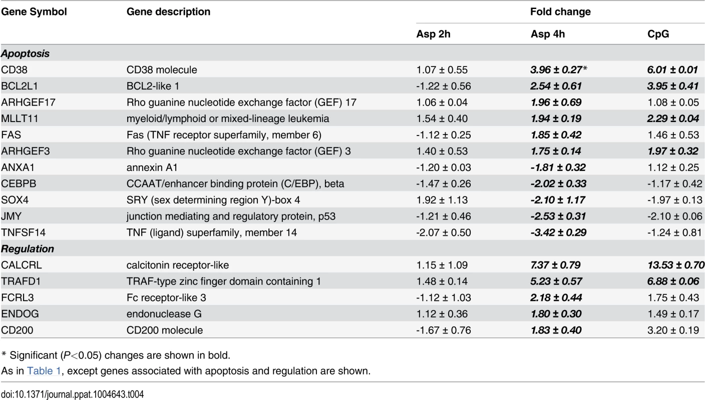 Apoptosis and regulation.