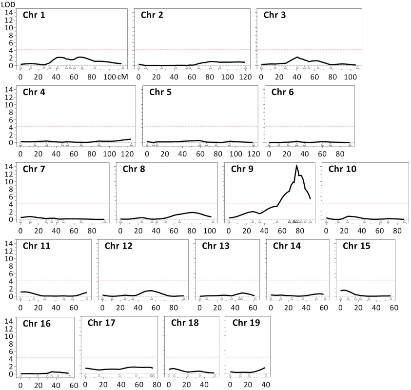 Identification of a quantitative trait locus (QTL) associated with striatal <i>HTT</i> CAG instability.