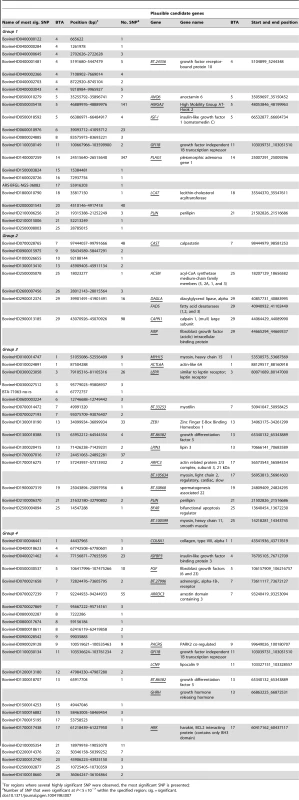 Positions of plausible candidate genes identified in <i>Bos taurus</i> that were within 1 Mb of the significant SNPs of each group.