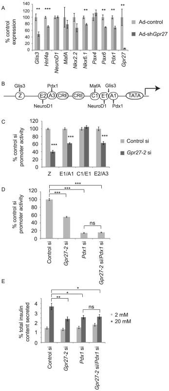 <i>Gpr27</i> knockdown affects multiple transcription factors and requires <i>Pdx1</i> for its effect on the insulin promoter.