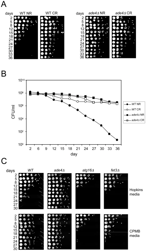 Growth media effects on CLS.