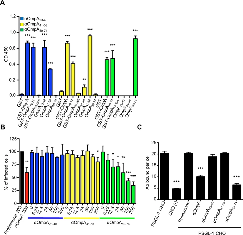 OmpA amino acids 59 to 74 are critical for <i>A</i>. <i>phagocytophilum</i> to bind to sLe<sup>x</sup>-capped PSGL-1 and for infection of mammalian host cells.