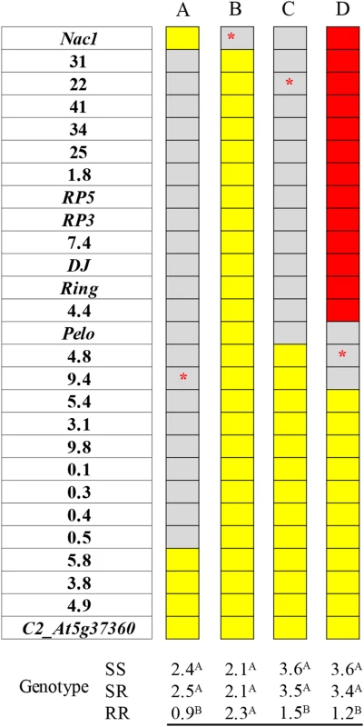 Association between DNA markers spanning the <i>ty-5</i> locus and disease severity in representative segregating populations.
