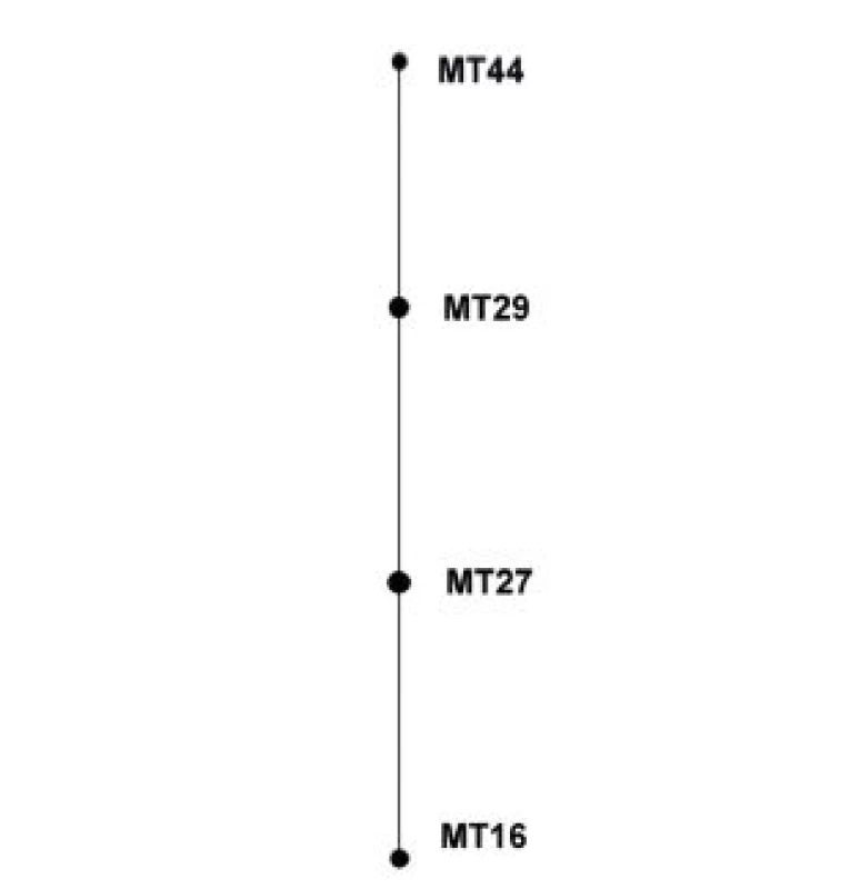 Diagram eBURST, MLVA analýza kmenů <i>B. pertussis,</i> ČR, 1990–2007
Figure 3. eBURST diagram, MLVA analysis of <i>B. pertussis</i> strain collection, Czech Republic, 1990–2007