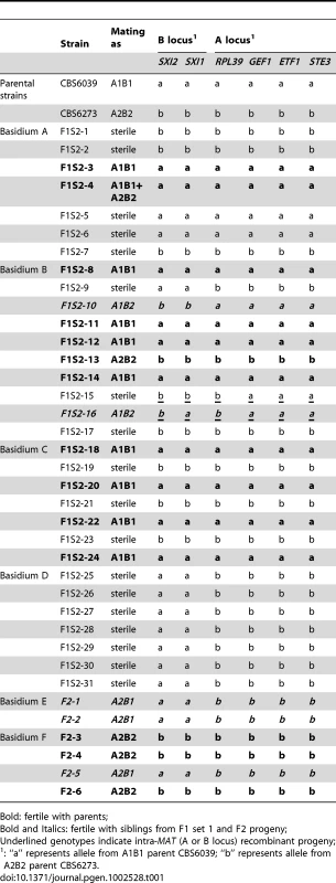 Summary of mating abilities and genotypes at the <i>MAT</i> genes of F1 set 2 and F2 progeny.