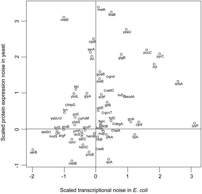 <i>E. coli</i> and yeast orthologues have similar noise levels.
