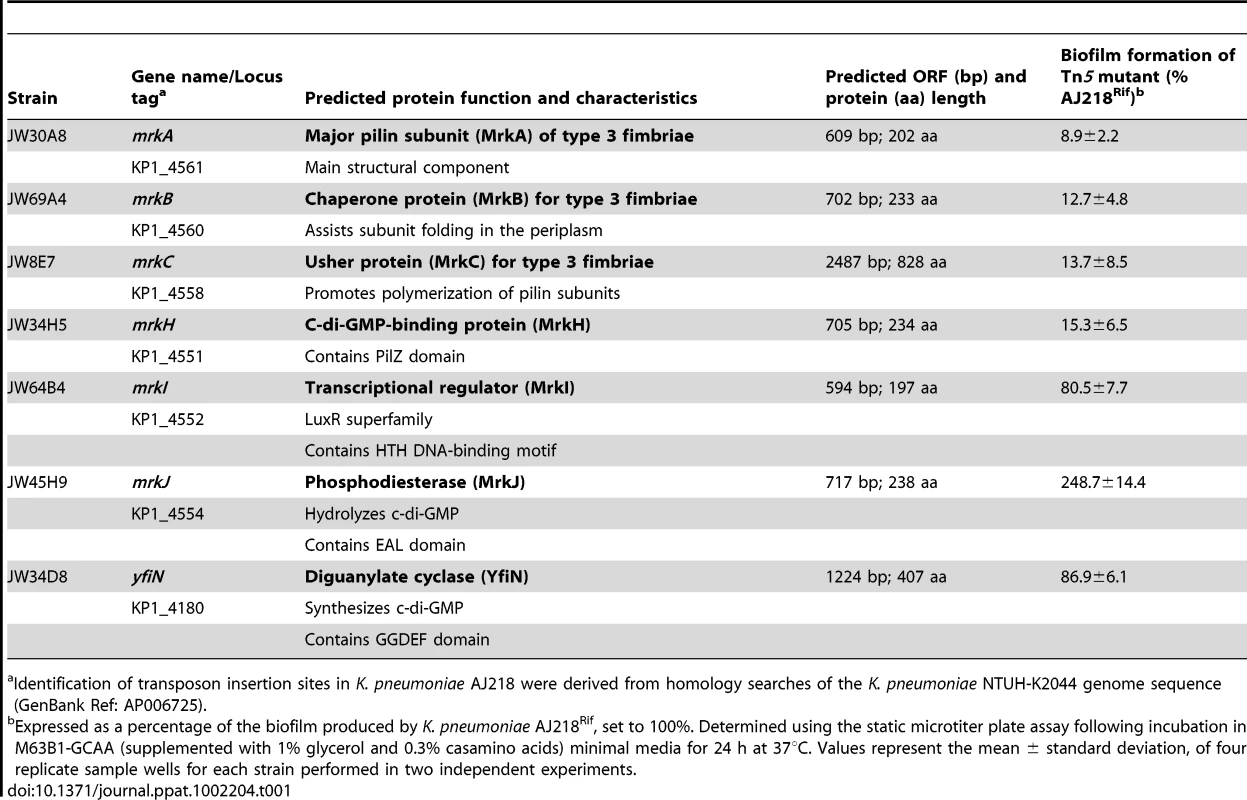 Identification of genetic loci participating in <i>K. pneumoniae</i> AJ218 biofilm formation.