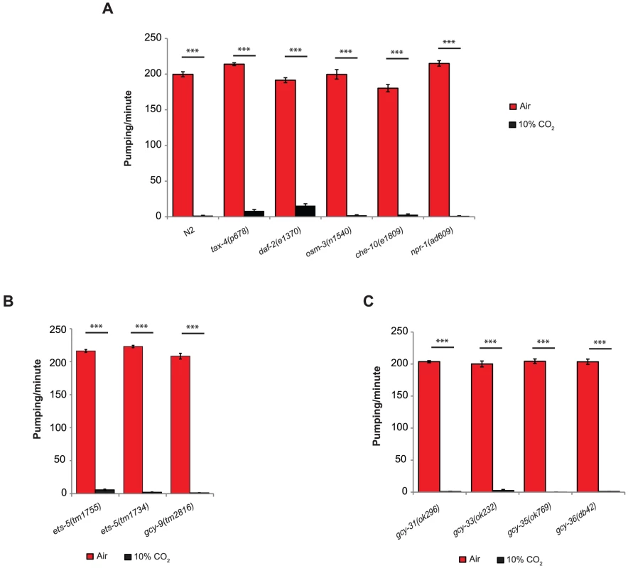 The inhibition of pumping following exposure to high CO<sub>2</sub> level is independent of molecular pathways that regulate CO<sub>2</sub> avoidance and oxygen sensing.