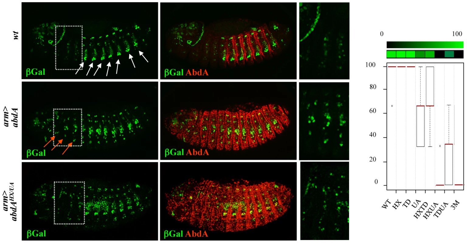 Additive contribution of protein domains.