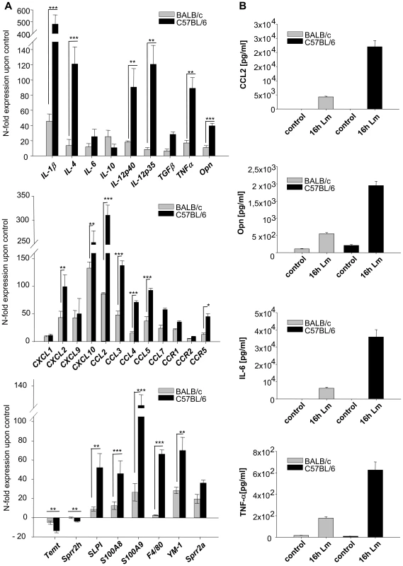 Analysis of gene and protein expression in <i>L. major</i> infected skin.