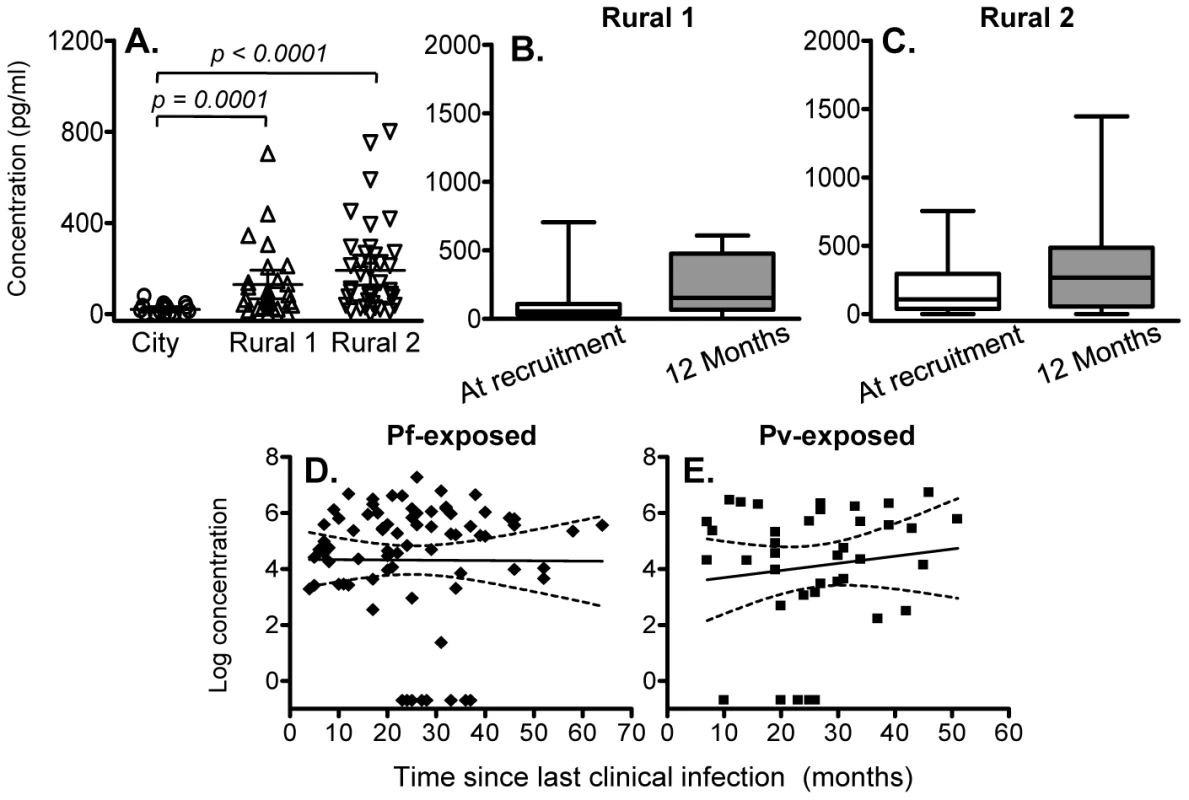 IL-10 concentrations in 6 day cell culture supernatants.