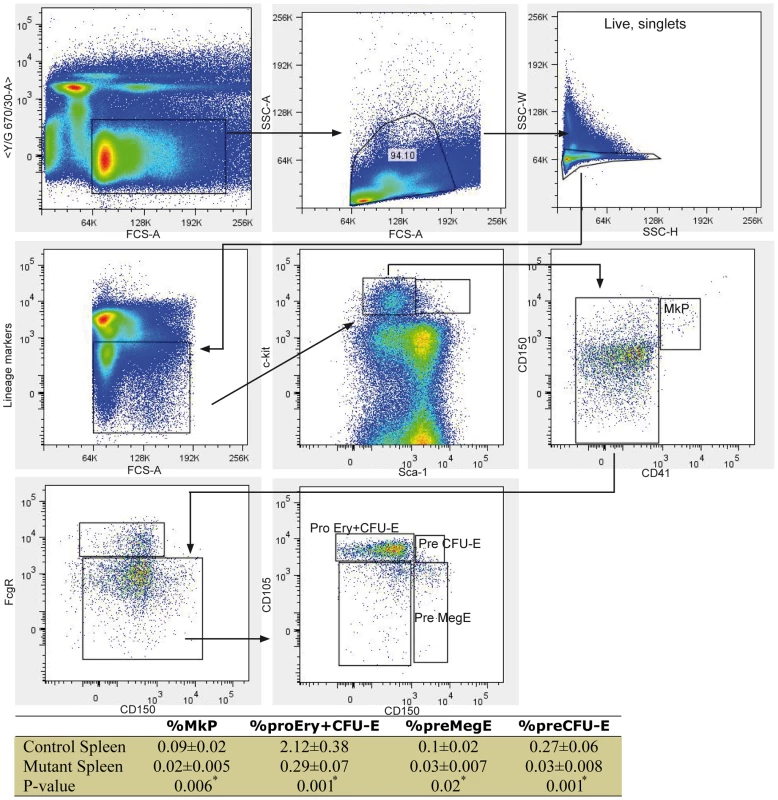 High-resolution fractionation of erythroid progenitors in mutant spleen.