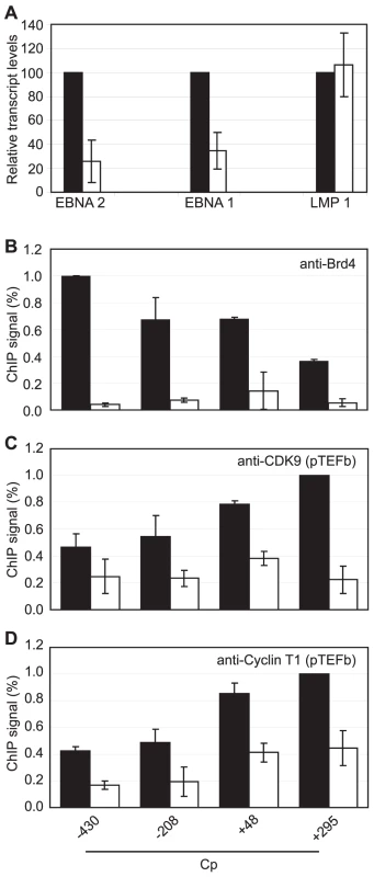 Brd4 is required for Cp transcription.
