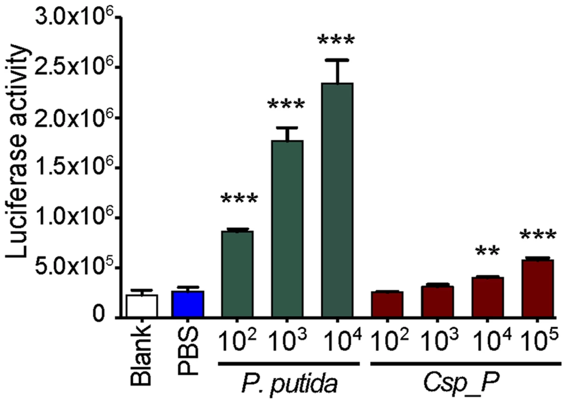 <i>Csp_P</i> elicits immune gene expression in the mosquito.
