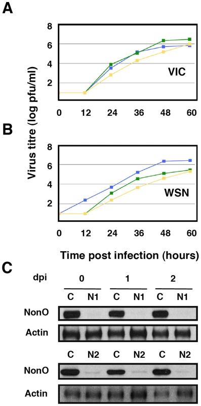 Kinetics of influenza virus multiplication in NonO-silenced cells.