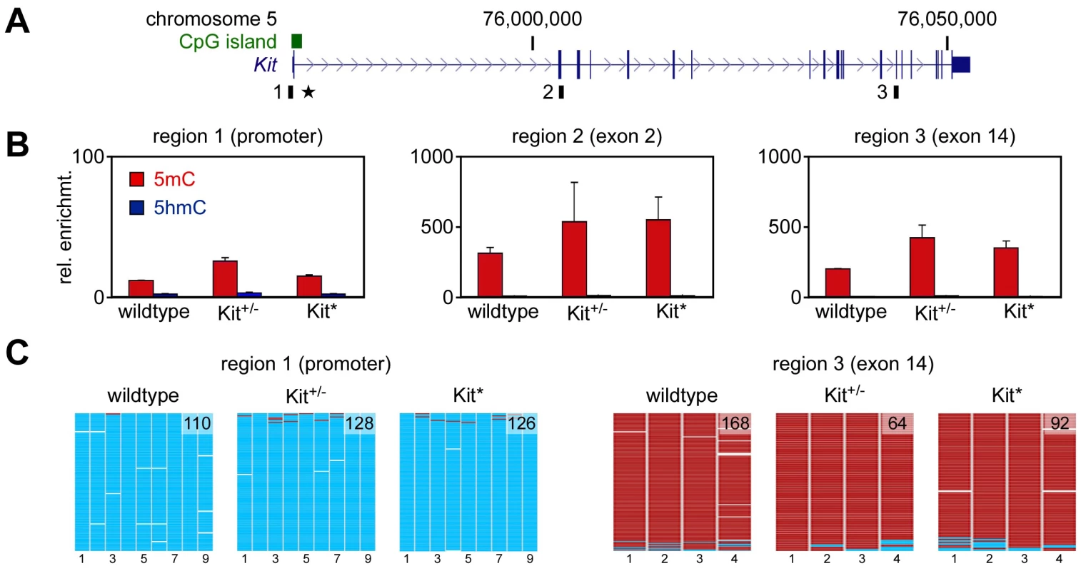 DNA methylation analysis.