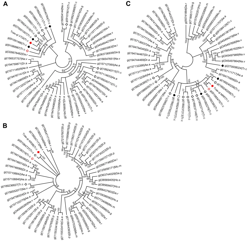 Phylogenetic trees of homologs of the three novel quinone-less proteins.
