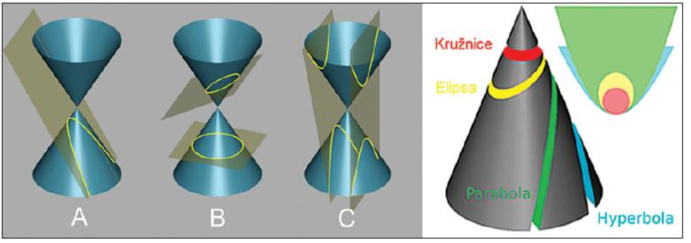 Průběh kuželoseček: paraboly (A), elipsy a kružnice (B) a hyperboly (C)
zdroj: http://cs.wikipedia.org/wiki/Ku%C5%BEelose%C4%8Dka [cit. 25-07-2011]