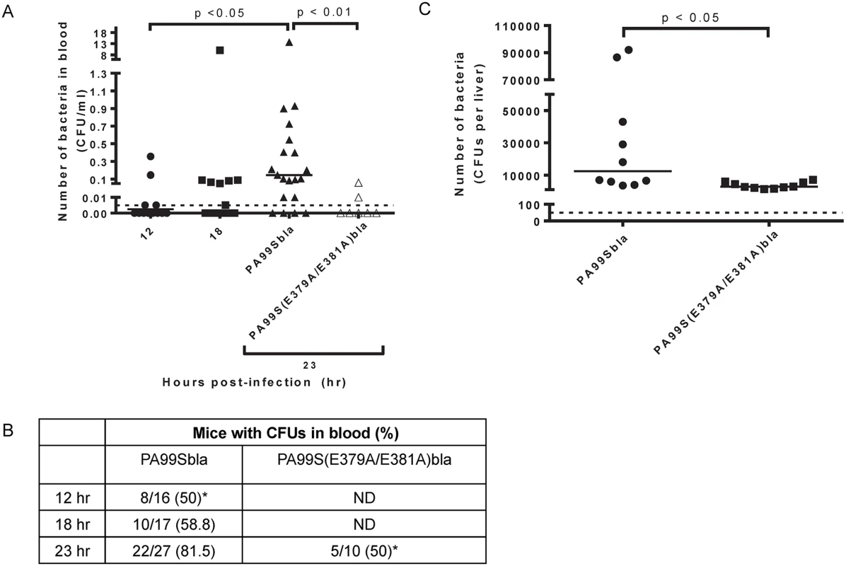 Bacterial dissemination into the bloodstream increases over time during pneumonia and is dependent on the ADPRT domain of ExoS.