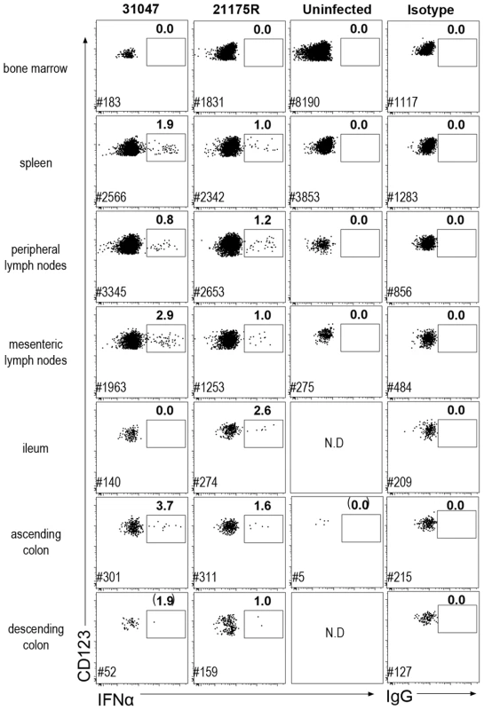 Plasmacytoid DC produce IFNα in both lymphoid and mucosal compartments.
