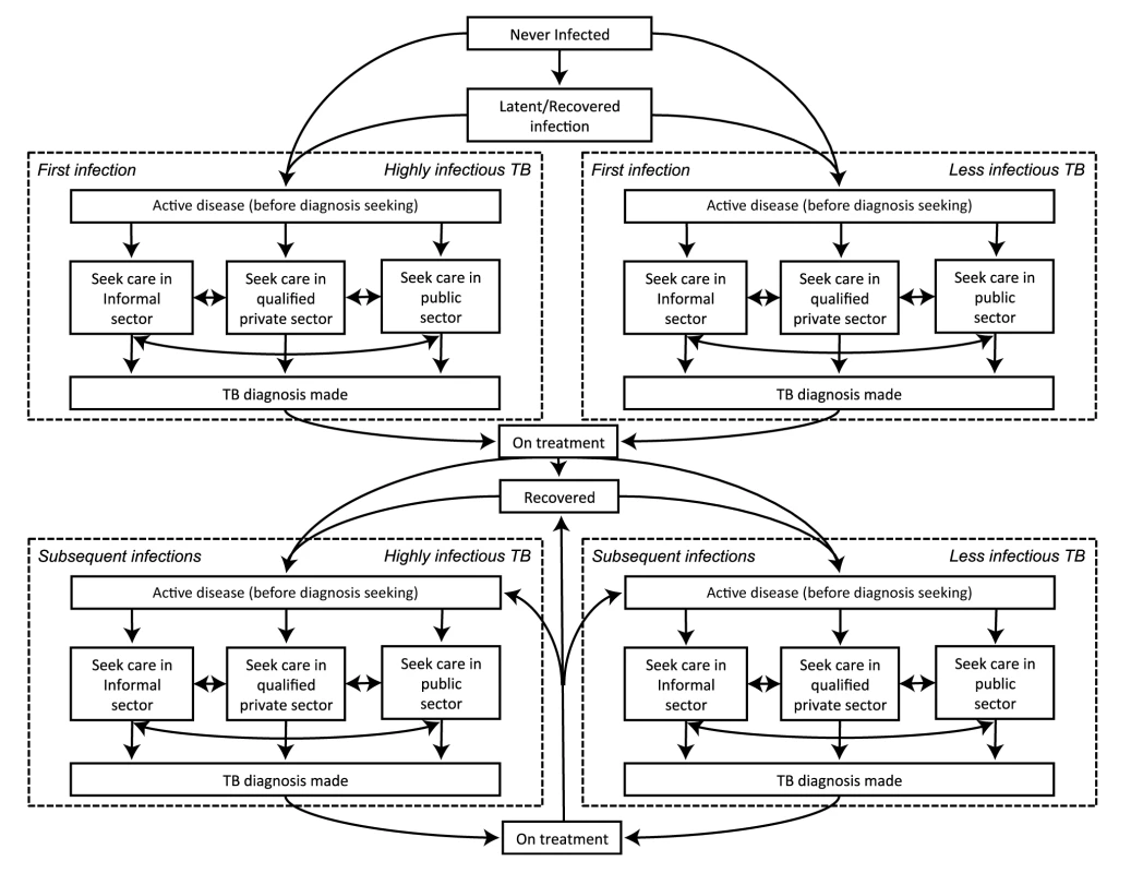 Model schematic.