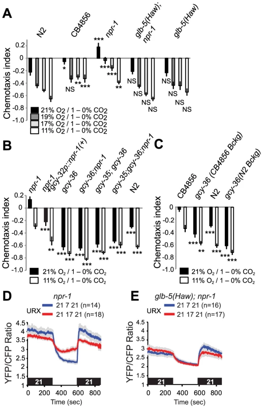 Re-configuring O<sub>2</sub> sensing circuits by altering the <i>npr-1</i> and <i>glb-5</i> genes alters CO<sub>2</sub> avoidance behavior.