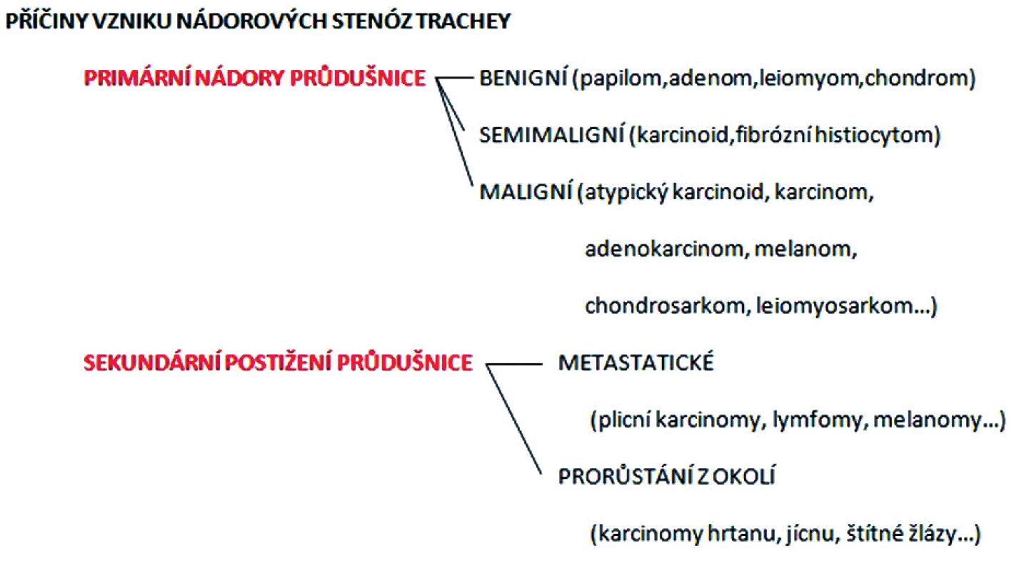Rozdělení nádorových příčin rozvoje stenóz trachey