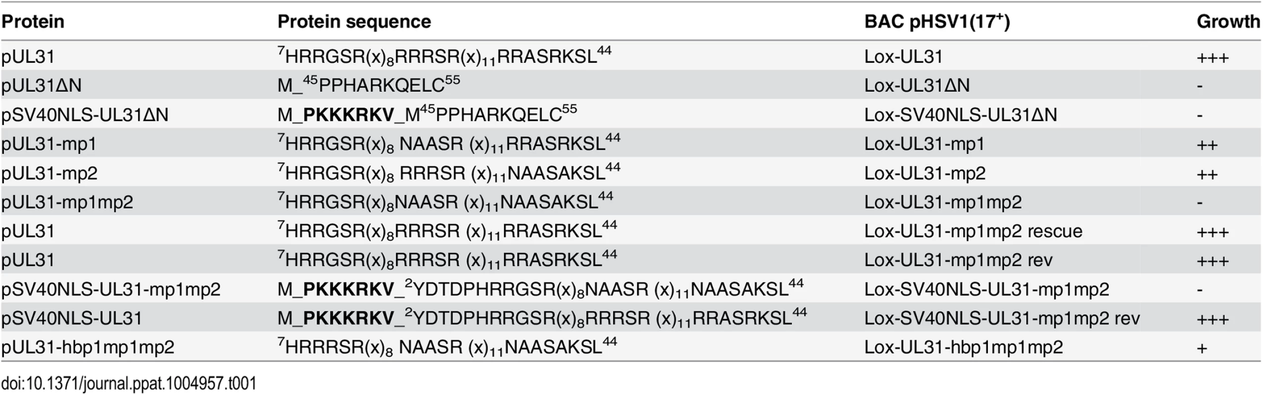 N-terminal mutants of pUL31.