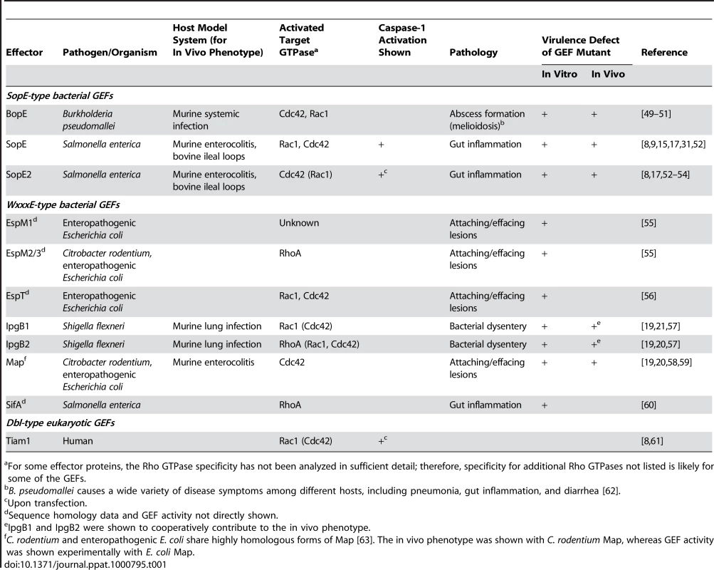 Guanine Nucleotide Exchange Factors Involved in Pathogenesis and/or Caspase-1 Activation.