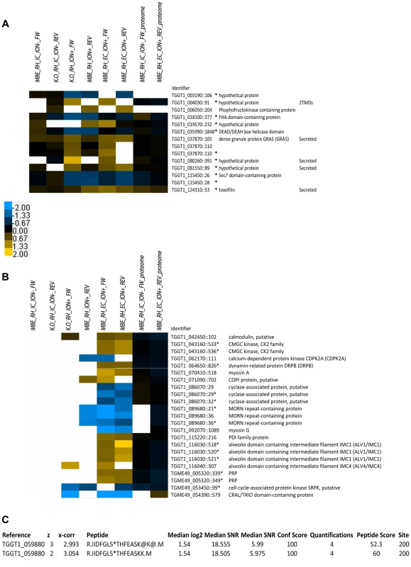 Heat-map of phosphorylation sites regulated during egress.