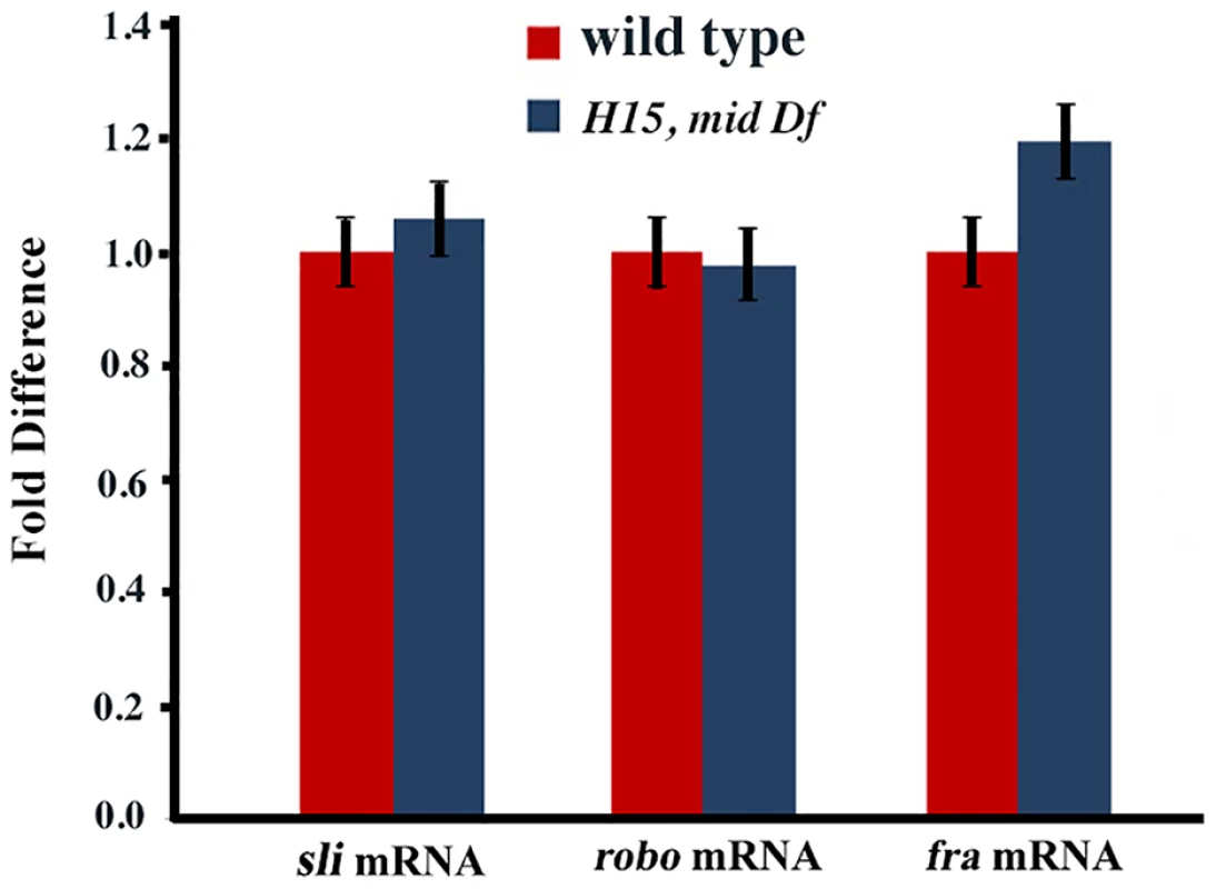 Real time quantitative pCR for <i>slit</i>, <i>robo</i> and <i>frazzled</i>.