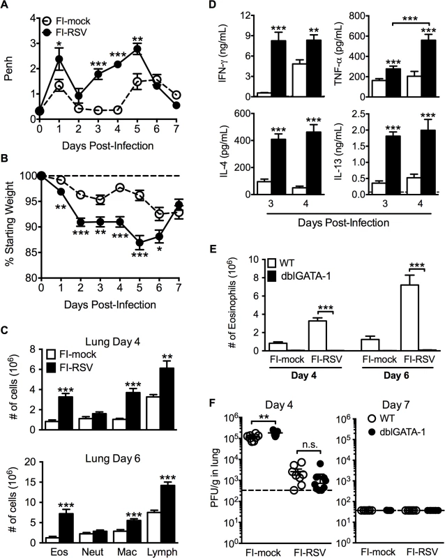 Development of VED following RSV challenge of FI-RSV-immunized mice.