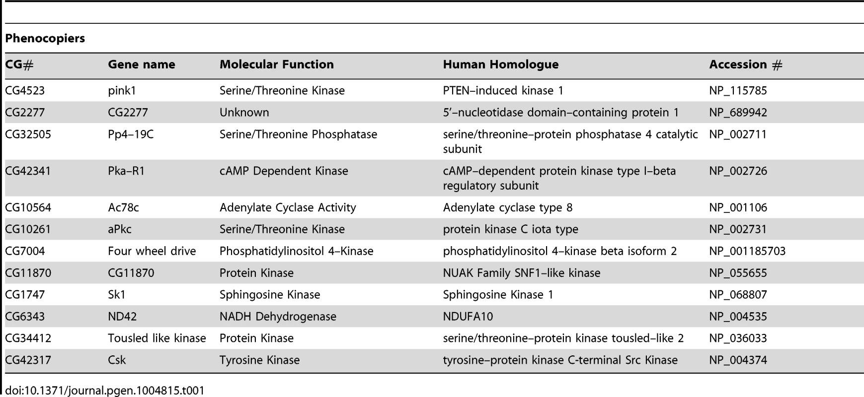 List of genes that phenocopy <i>pink1</i> dsRNA induced mitochondrial fusion.