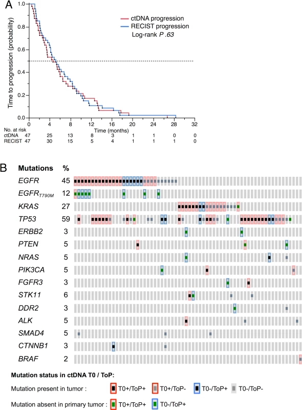 ctDNA at tumor progression.