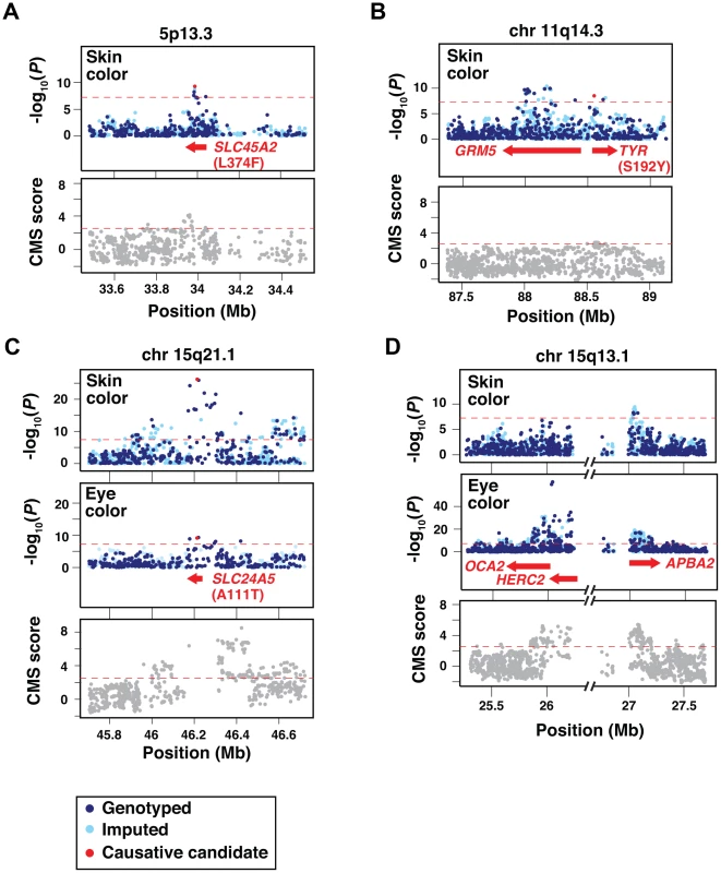 Imputation, fine-mapping, and selective signature scores for skin and eye color loci.