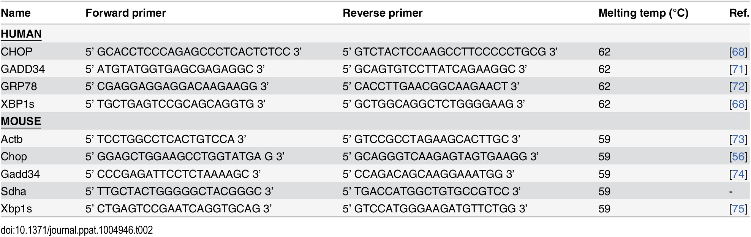 qPCR primers.