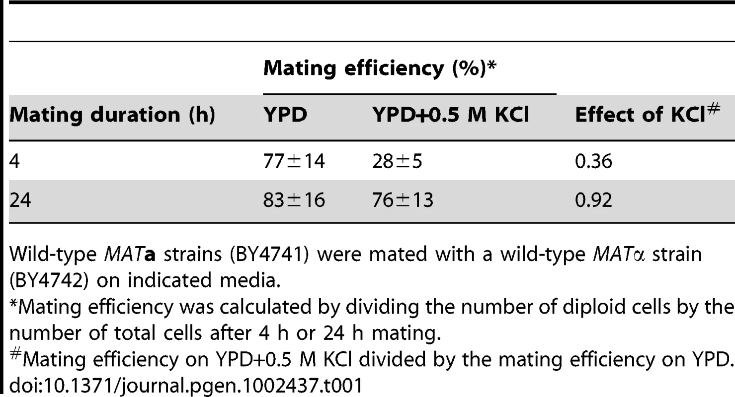 Hyperosmotic stress decreases mating efficiency.