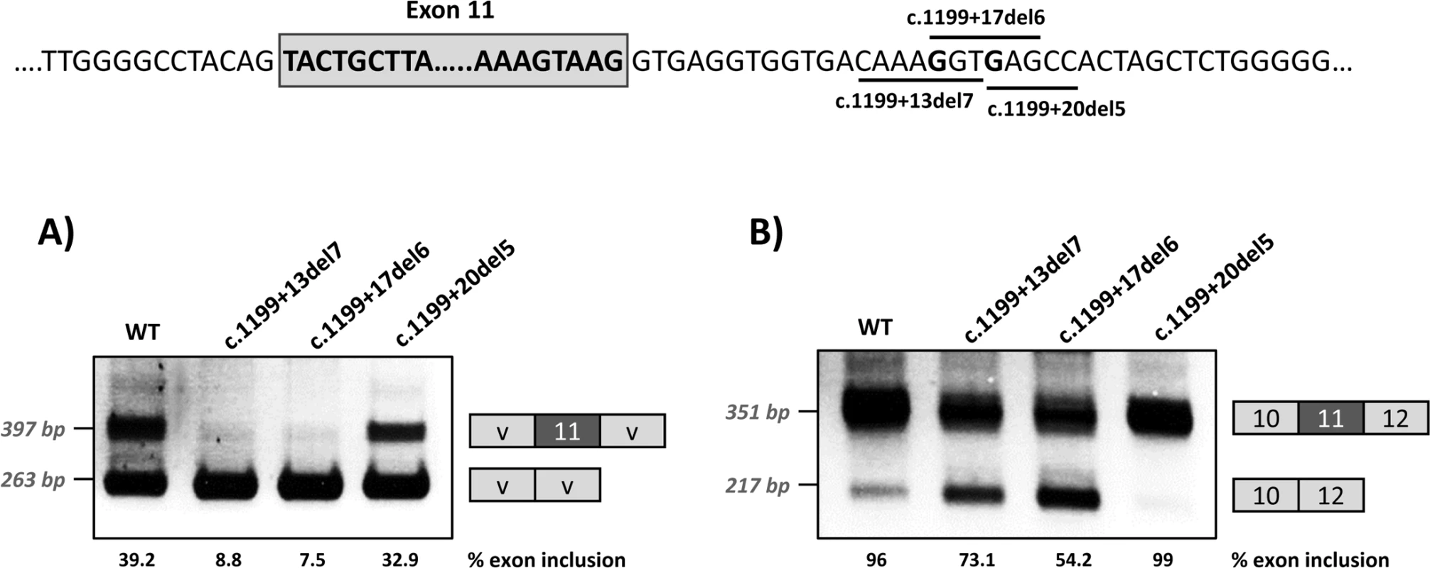 Effect of intronic deletions on minigenes splicing profile.