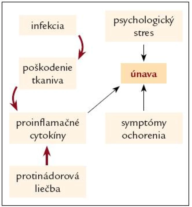 Príčiny únavy u pacientov po protinádorovej liečbe (podľa [3]).
