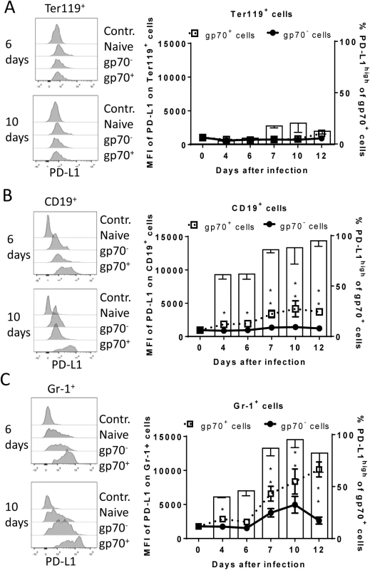 Expression of PD-L1 on the surface of FV infected cells.
