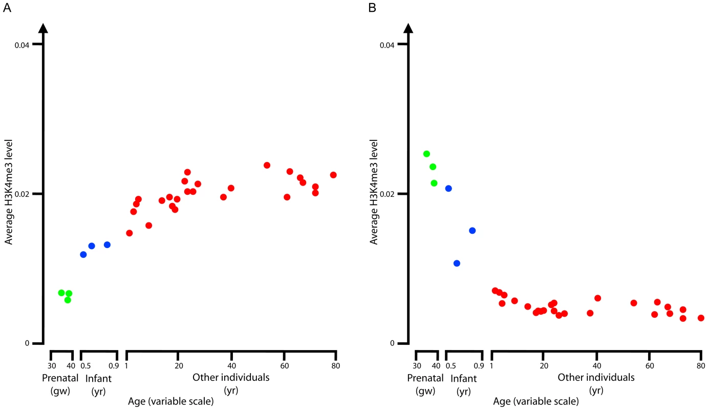 Averaged age profiles.