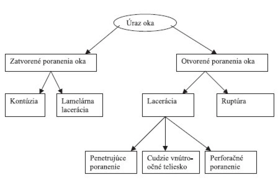 Štandardizovaná klasifikácia mechanických poranení oka (podľa BETT )