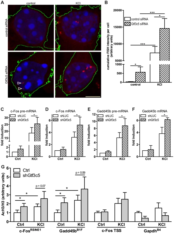 TFIIIC controls activity-dependent genes transcription and SINE acetylation.