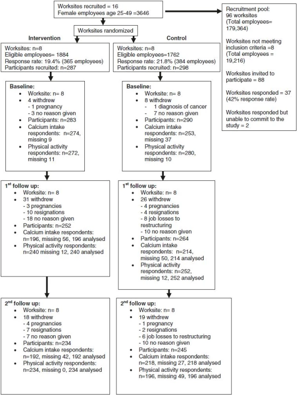 Consort flow diagram for worksites and participants