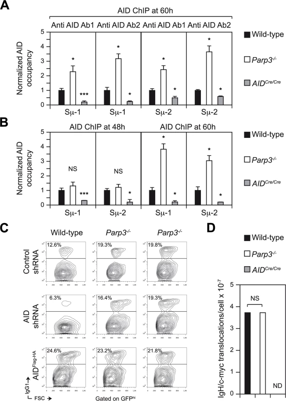 AID binding to Sμ is enhanced <i>Parp3<sup>-/-</sup></i> B cells but enhanced DNA damage in the absence of Parp3 is restricted to the IgH locus.