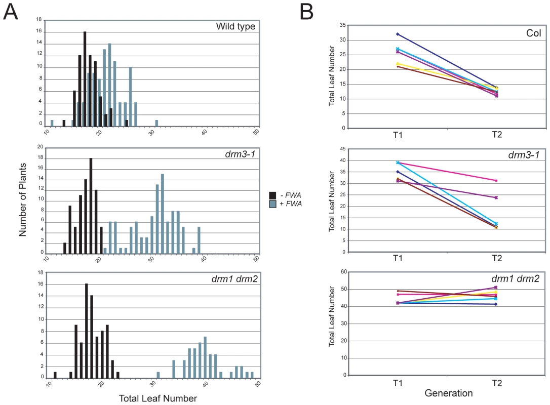 <i>DRM3</i> is required for normal establishment of RNA–directed DNA methylation.